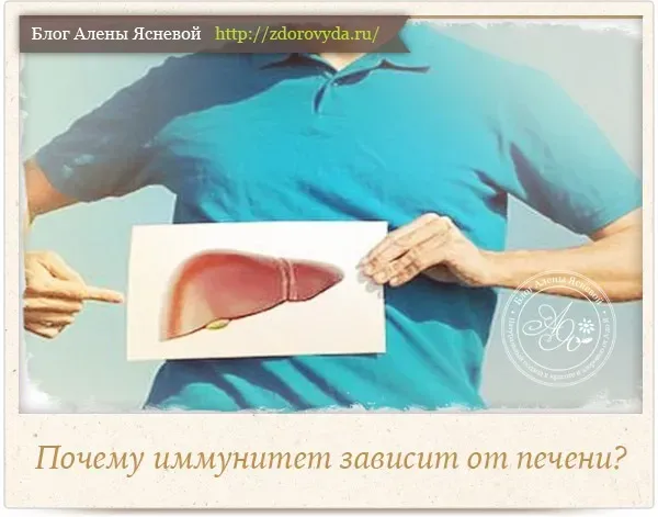 Fungomin : sastav samo prirodnih sastojaka.