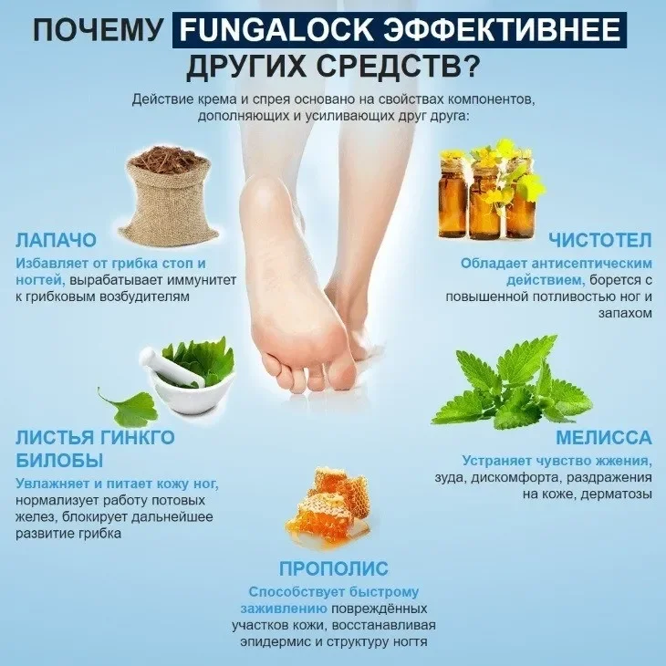 Mikoherb : gdje kupiti u Srbiji, u apoteci?